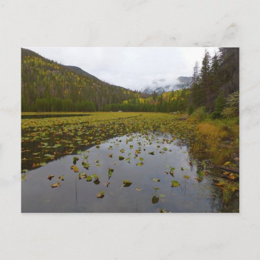 Fall Color at Cube Lake Postkarte (Vorderseite)