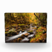 Fall Color Jefferson Brook | Weiße Berge Fotoblock (Vorderseite)