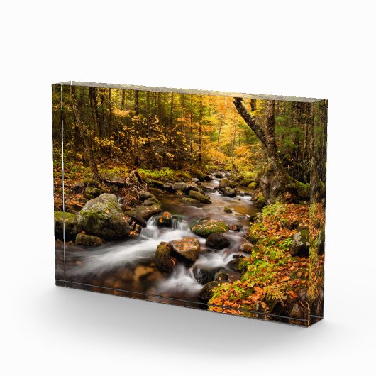 Fall Color Jefferson Brook | Weiße Berge Fotoblock (Rechts)
