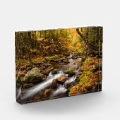Fall Color Jefferson Brook | Weiße Berge Fotoblock (Links)