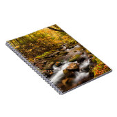 Fall Color Jefferson Brook | Weiße Berge Notizblock (Rechte Seite)