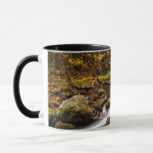 Fall Color Jefferson Brook | Weiße Berge Tasse (Links)