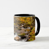 Fall Color Jefferson Brook | Weiße Berge Tasse (VorderseiteRechts)