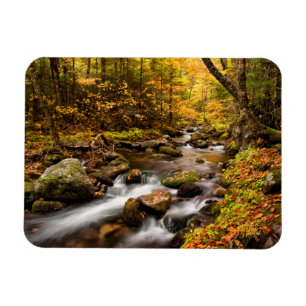 Fall Color Jefferson Brook White Mountains Magnet