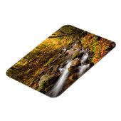 Fall Color Jefferson Brook | White Mountains Magnet (Linke Seite)