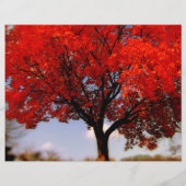 Fall Color Tour Halloween Event Event Flyer (Hinten)