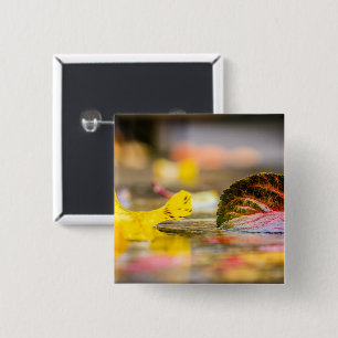 Fall colors button