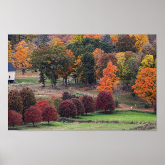 Fall Colors in Massachusetts  Poster
