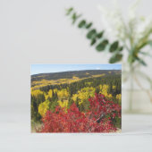 Fall Colors in Rockies Postcard Postkarte (Stehend Vorderseite)