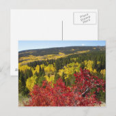 Fall Colors in Rockies Postcard Postkarte (Vorne/Hinten)
