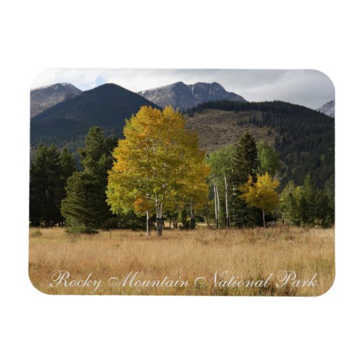 Fall Colors Mummy Range Rocky Mtn National Park Magnet (Horizontal)