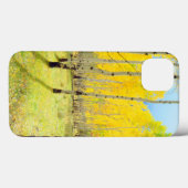 Fall colors of Aspen trees 4 Case-Mate iPhone Hülle (Rückseite (Horizontal))