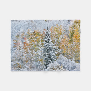 Fall Colors of Aspens & Snow Keebler Pass Fleecedecke