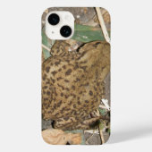 Fall "Common Toad iPhone 5" Case-Mate iPhone Hülle (Rückseite)