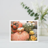 Fall Cornicopie Postkarte (Stehend Vorderseite)