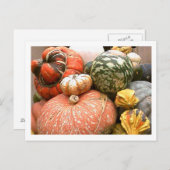 Fall Cornicopie Postkarte (Vorne/Hinten)