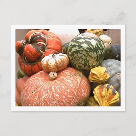 Fall Cornicopie Postkarte (Vorderseite)