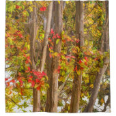 Fall Crape Myrtle Trees Duschvorhang (Vorderseite)