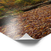 Fall Creek auf Laurel Hill Staat Park Pennsylvania Fotodruck (Ecke)