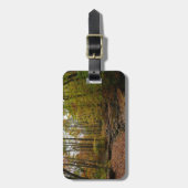 Fall Creek auf Laurel Hill Staat Park Pennsylvania Gepäckanhänger (Vorderseite vertikal)