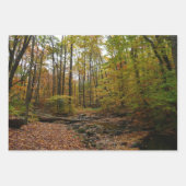 Fall Creek auf Laurel Hill Staat Park Pennsylvania Geschenkpapier Set (Vorderseite)