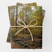 Fall Creek auf Laurel Hill Staat Park Pennsylvania Geschenkpapier Set (Beispiel)