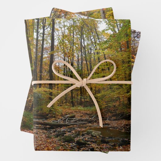 Fall Creek auf Laurel Hill Staat Park Pennsylvania Geschenkpapier Set (Beispiel)