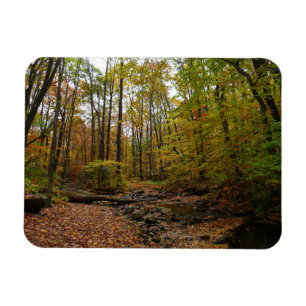 Fall Creek auf Laurel Hill Staat Park Pennsylvania Magnet