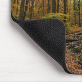 Fall Creek auf Laurel Hill Staat Park Pennsylvania Mousepad (Ecke)