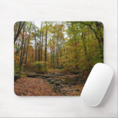 Fall Creek auf Laurel Hill Staat Park Pennsylvania Mousepad (Mit Mouse)