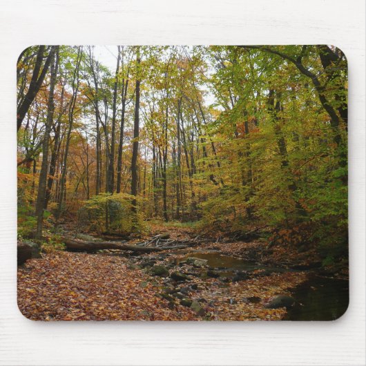 Fall Creek auf Laurel Hill Staat Park Pennsylvania Mousepad (Vorne)