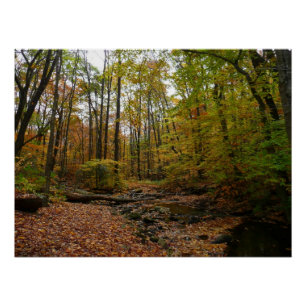 Fall Creek auf Laurel Hill Staat Park Pennsylvania Poster