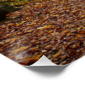 Fall Creek auf Laurel Hill Staat Park Pennsylvania Poster (Ecke)