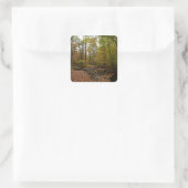 Fall Creek auf Laurel Hill Staat Park Pennsylvania Quadratischer Aufkleber (Tasche)