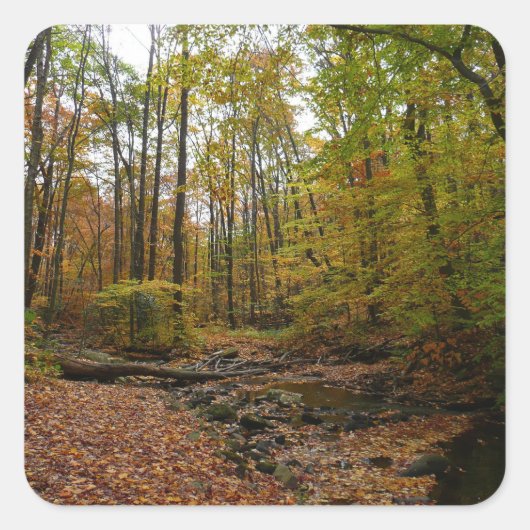 Fall Creek auf Laurel Hill Staat Park Pennsylvania Quadratischer Aufkleber (Vorderseite)