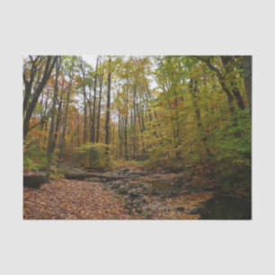 Fall Creek auf Laurel Hill Staat Park Pennsylvania Seidenpapier
