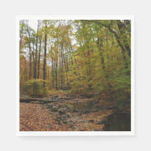 Fall Creek auf Laurel Hill Staat Park Pennsylvania Serviette