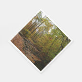 Fall Creek auf Laurel Hill Staat Park Pennsylvania Serviette (Ecke)