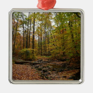 Fall Creek auf Laurel Hill Staat Park Pennsylvania Silbernes Ornament
