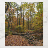 Fall Creek auf Laurel Hill Staat Park Pennsylvania Weinetikett (Einzelnes Label)