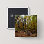 Fall Creek im Laurel Hill Staat Park Button (Vorne & Hinten)