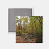 Fall Creek im Laurel Hill Staat Park Magnet (Vorderseite/Rückseite)