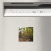 Fall Creek im Laurel Hill Staat Park Magnet (In Situ (Geschirrspüler))