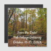 Fall Creek im Laurel Hill Staat Park Save the Date Magnetkarte (Vorne/Hinten)