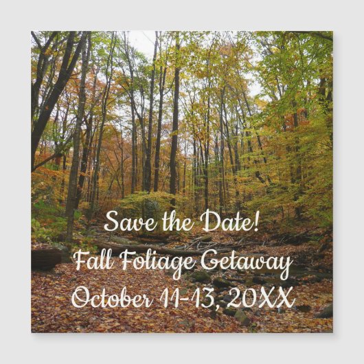 Fall Creek im Laurel Hill Staat Park Save the Date Magnetkarte (Vorderseite)