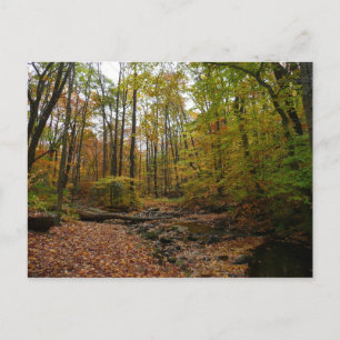 Fall Creek im Laurel Hill State Park Pennsylvania Postkarte