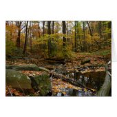 Fall Creek mit Blick auf den Laurel Hill Park (Vorderseite (Horizontal))