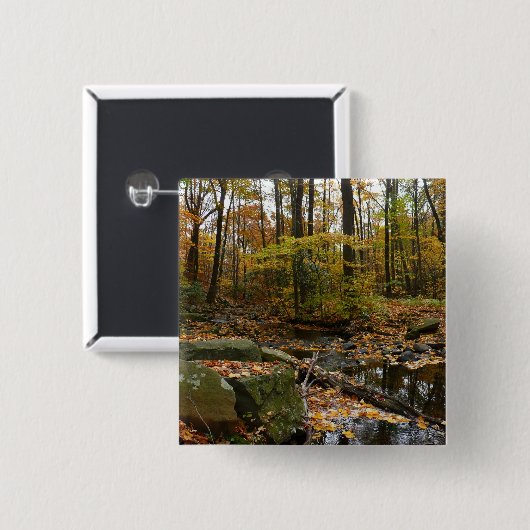 Fall Creek mit Blick auf den Laurel Hill Park Button (Vorne & Hinten)