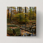 Fall Creek mit Blick auf den Laurel Hill Park Button (Vorderseite)