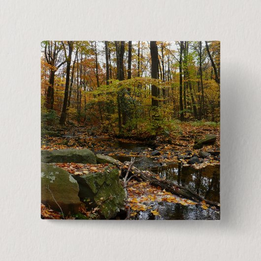Fall Creek mit Blick auf den Laurel Hill Park Button (Vorderseite)